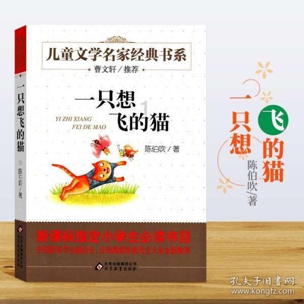 又一座中国城市被老外“占据”，十万老外赖着不走，你知道在哪吗